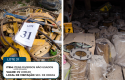 Lote 31_Easy-Resize_com